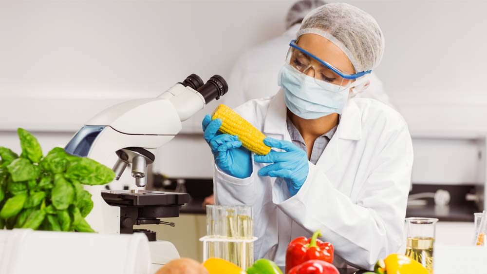 Food Analysis